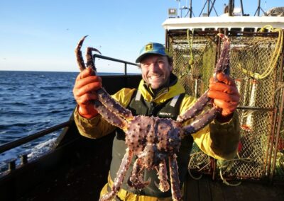 Photo of fresh caught king crab